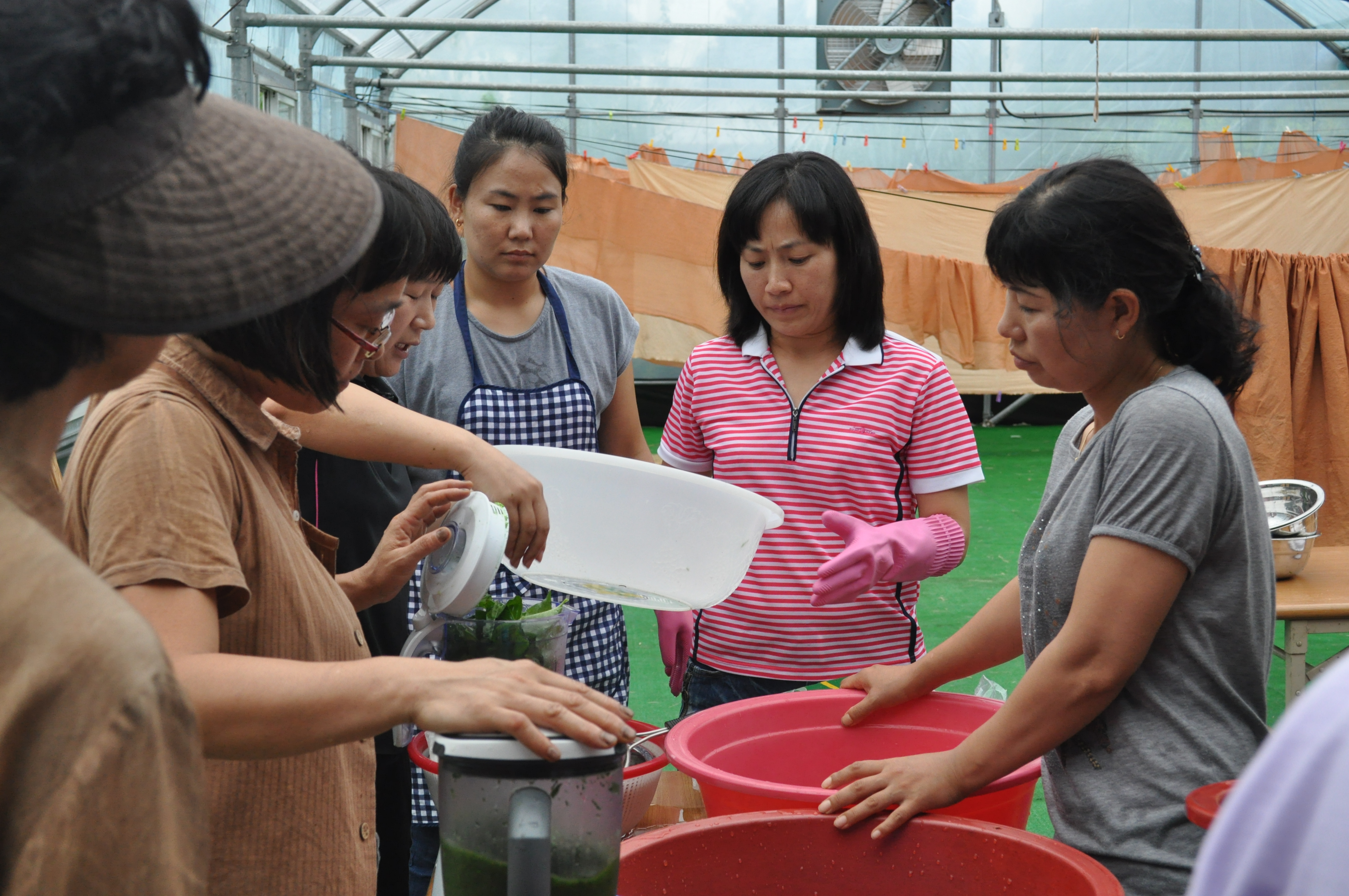 천연염색 기술교육(2회차, 생쪽염색)